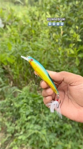 Riptide Sakra minnow lure for shore fishing‼️🎣💯‼️🎣💯