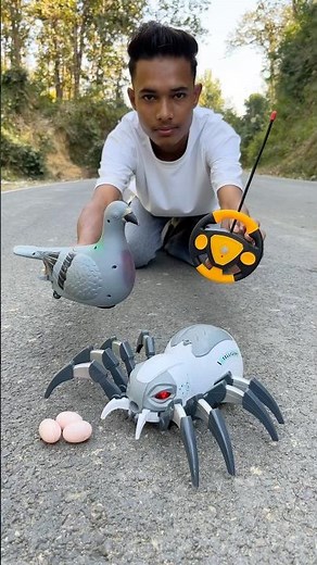 RC remote control spider￼ and Egg wala birds Unboxing 😍