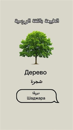 تعليم اللغة الروسية للمبتدئين من الصفر .. الطبيعة باللغة الروسية #تعليم_روسي #تعلم