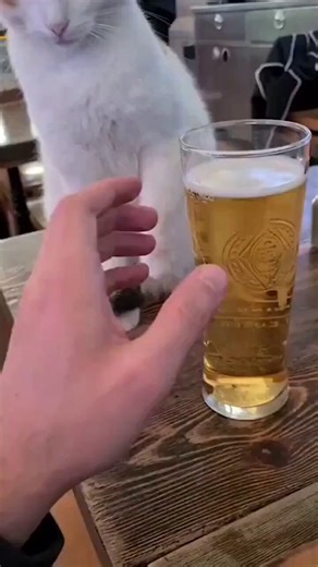 @vxunderground @NZXT "Why?"Smelly: "I need to download 10PB of malware."