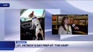 Milwaukee St. Patrick's Day Parade highlights Irish heritage, local non-profits and engineering students