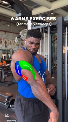 Gabriel Val on Instagram: "⚡️MASSIVE TRICEPS⚡️ 6 Arm exercises for massive triceps. 1️⃣. Dumbbell Overhead Extension. 2️⃣. Cable Skull Crusher. 3️⃣. Rope-Cable Incline Triceps Pulldown. 4️⃣. Single-arm Tricep Extensions. 5️⃣. Parallel-bar Dips. 6️⃣. Rope-cable Triceps Pulldown. ✅ Like & Save, ✅ Try it out, ✅ Share with a friend & ✅ Follow for more Fitness tips / gym contents. . . . . . #ﬁtness #triceps #tricepsworkout #arms #fitnesstips"