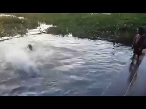 Children Swimming in Village Pond