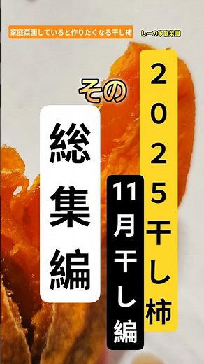 干し柿総集編のお知らせ！2025年今まで出していた干し柿ショート準備から8日間のまとめを作りました♪《しーの家庭菜園＊干し柿作り》