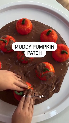 inspiremyplay on TikTok