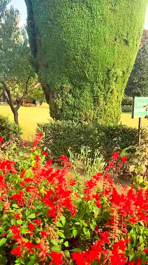 200K views · 10K reactions | Beautiful view of Nishat Garden ❤️ #kashmir #valley #nature #viral | Kashmir Nature Explorer | Facebook