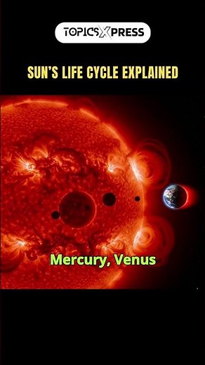 Sun’s Life Cycle Explained | Sun’s Journey: From Star to White Dwarf | #shortsfeed #space