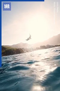 29K views · 780 reactions | This dolphin knows no bounds!  Via Jukin Media | Daily Mail Video | Facebook