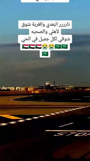 Airplane Landing: A Spectacular Airport View