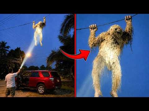 100 Most Bizarre Videos Ever Recorded By People! Internet's Most Shocking Clips!