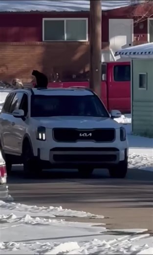 Jeremiah DaGreat (@jeremiah_dagreat777)’s videos with Ridin' - Chopped & Screwed - Chamillionaire