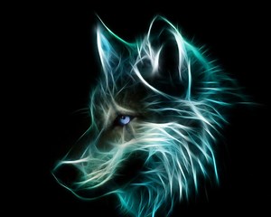 Wallpaper Neon Wolf Pictures