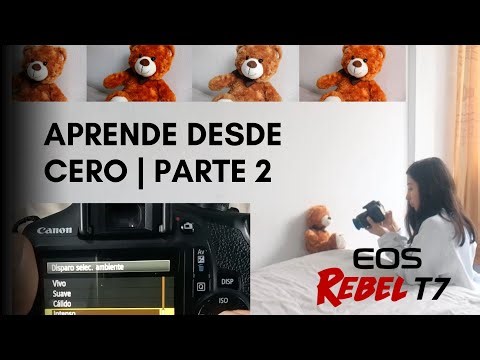 LEARN TO TAKE PHOTOGRAPHS FROM SCRATCH Part 2 📷✨ | Canon T7