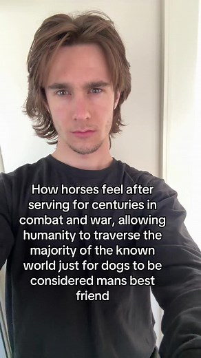 Dogs: The Unsung Heroes of Friendship