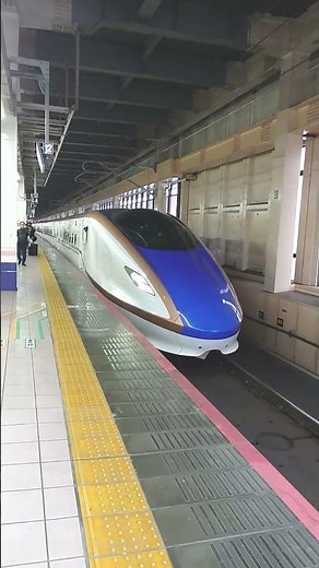 【新幹線とき】大宮駅入線！ #short#上越#上越新幹線#運行情報#運行状況#JR#とき#運行#大宮#大宮駅#鉄道#電車#乗り鉄#撮り鉄#出発#入線#埼玉#埼玉県#さいたま#さいたま市#迫力#きれい