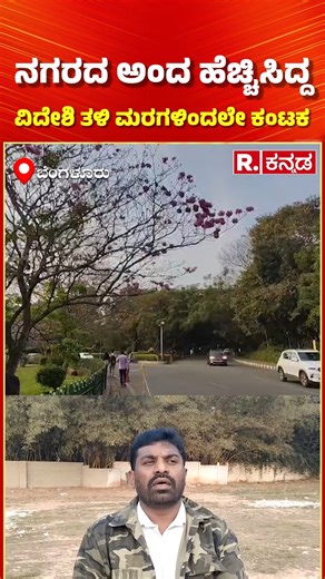 Republic Kannada on Instagram: "Bengaluru Tree Issues: ನಗರದ ಅಂದ ಹೆಚ್ಚಿಸಿದ್ದ ವಿದೇಶಿ ತಳಿ ಮರಗಳಿಂದಲೇ ಕಂಟಕ #shorts #Bengaluru #ForeignTrees #TreeFall #EnvironmentalIssue #GroundwaterCrisis #UrbanForestry #SaveBangalore #SiliconCity #ClimateConcern #BangaloreNews #GreenBengaluru"