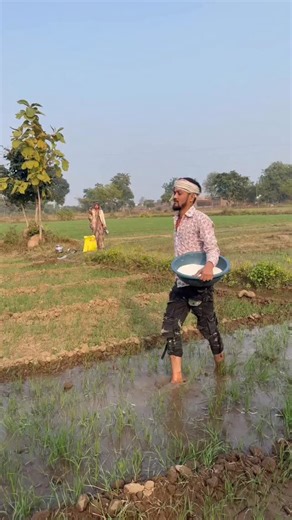 Jahar bhaiya on Instagram: "Gehu me khad Kishan 🤪😜 #funny #comedy #patipatni #kishni #bundeli #khad #khushi"