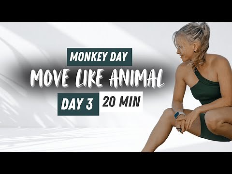 Move Like Animals | Day 3 - 20 Min Monkey Flow 🐒 Mobility & Strength // Animal Flow Beginner Classes