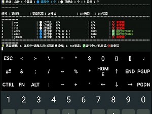Linux Chroot Installer Pro随便演示