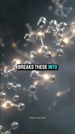 What Happens to Your Body When You Fast? The Science Behind Fasting & Healing