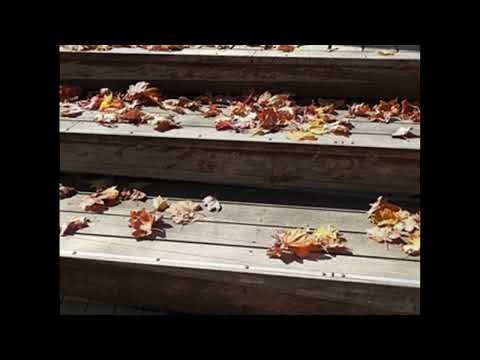 楓の葉 ♪てのひらの形をして みなづきみのり作詞・北川昇作曲 「いつかの木から」より