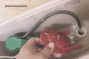 How To Remove Toto Flapper