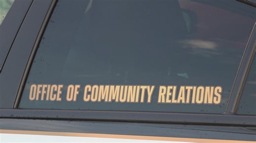 Sevier County crime drops with new volunteer patrols, sheriff says