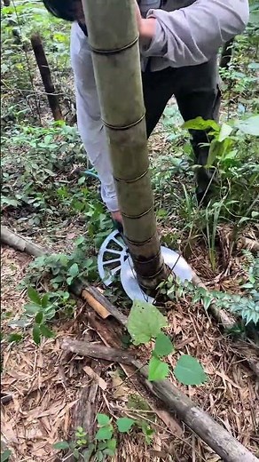 Professional Tree Felling Techniques: Precision Cutting with Portable Chainsaws