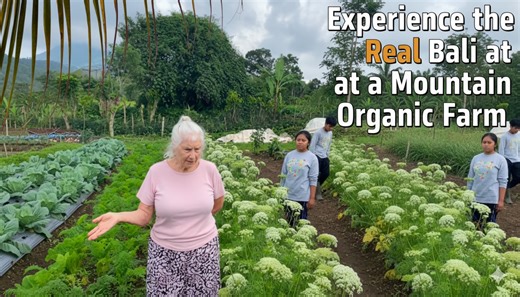 Experience the Real Bali at a Mountain Organic Farm