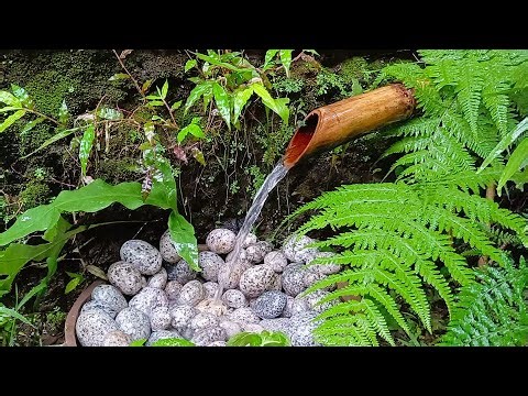 😴SLEEPING MUSIC 【100% 広告 なし 自律 神経 整える 音楽】深い睡眠へ誘う睡眠導入音楽 癒しの音楽を聴いてぐっすりと熟睡する 心身の休息と疲労回復、ストレス解消…【睡眠用bgm】