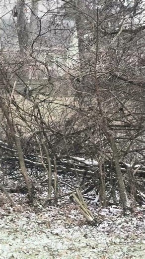 WINTER STORM 2026 UPDATE! ❄️NYC Blizzard Sends Snow To Cincinnati! (Sunday's Raw Local Weather Clip)