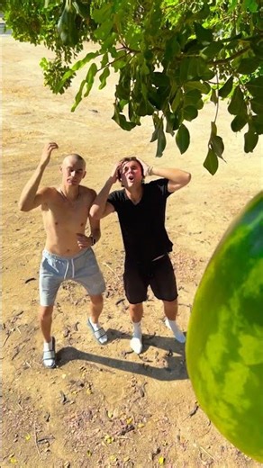 Wait, Is That a Watermelon Tree? Discover the Secret! 🌳🍉