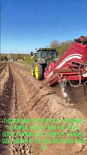 Large Stone Picker at Work in the Fields, Efficiently Clearing Stones from Farmland!