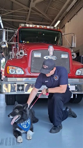 1.4K views · 49 reactions |  It’s Fire Prevention Week, and I’m back...