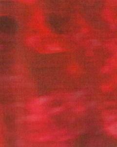 3.1K views · 184 reactions | Introducing the Spring/Summer 2022 pre-collection. Discover the #McQueenPreSS22 collection: on.alexandermcqueen.com/PreSS22-FB Film by Roberto Colombo. Music: Pattern of the North by Rival Consoles. | Alexander McQueen | Facebook