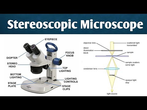Seteroscopic microscope | instrumentation, History & working | forensic science