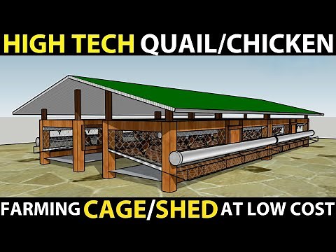 HIGH TECH QUAIL/CHICKEN FARMING CAGE/SHED 3D DESIGN | Quail/Chicken Shed Ideas