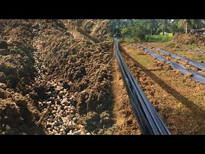 v110: Land Prep p3 | Basal Fertilizer App and Plastic Installation | Pakwan sa Tag-ulan