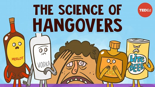 How exactly does alcohol cause a hangover, and is there any way to prevent one? | TED-Ed