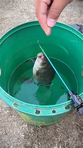 fishcampvietnam on Instagram: "🚀 Remove hooks in ONE TOUCH — super fast, super safe! 🎣 Tired of struggling with stuck hooks? This ultra-efficient Fishing Hook Remover pops hooks out instantly, protects your fingers, and gets you back to fishing in seconds! ⚡🐟 🔥 Every angler needs this in their tackle box — don’t miss out! 👉 CLICK LINK IN BIO to order yours today! #️⃣ 25 Hashtags: #fishinggear #fishingtools #hookremover #fishinghookremover #fastfishingtool #fishingsetup #fishinglife #anglerg