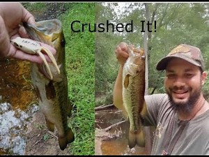 Creek Fishing The Googan Mini Filthy Frog! (HUGE BLOW UPS & SURPRISING CATCH )