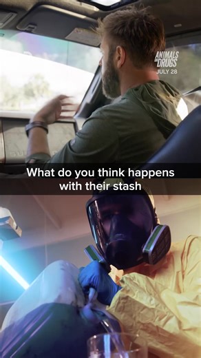 When drugs go down the drain… wildlife gets weird. 🐟🤯 #AnimalsOnDrugs premieres July 28 at 8p on Discovery. | Discovery