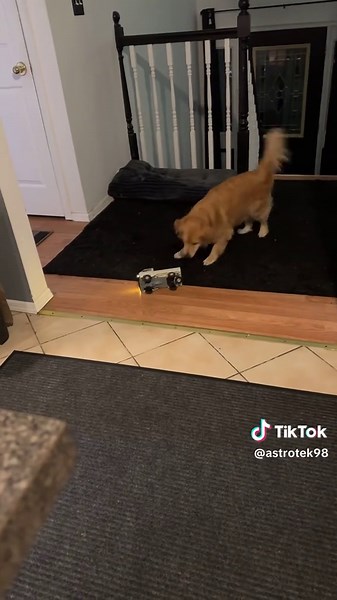 lucas_Jake on TikTok