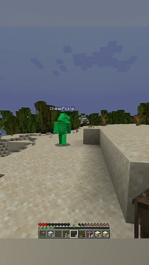 cheap pickle plays more minecraft #minecraft #youtube #cheappickle