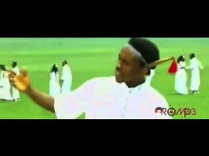 Oromo Music - Nigusu Tamirat - Laga Saay