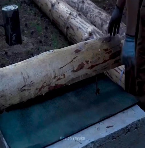 90K views · 689 reactions | A large log cabin is being constructed in the woods without anyone present | Boston Yayuka | Facebook
