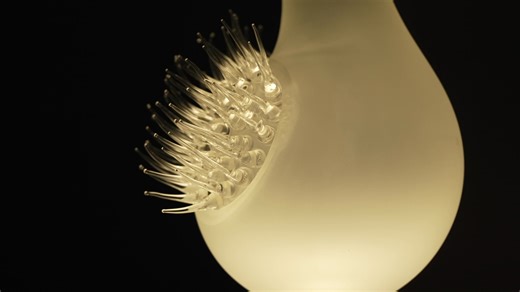 1.3K views · 14 reactions | Over the past decade, the Ulster Museum...