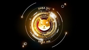 Is Shiba Inu coin the next meme token after hitting a new record?