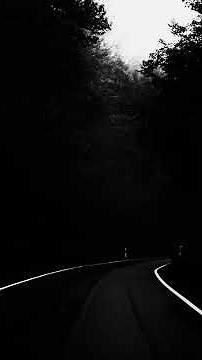 Washing Machine Heart - By Mitski (Slowed)