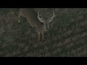 The Most Incredible Drone Footage You’ve Ever Seen